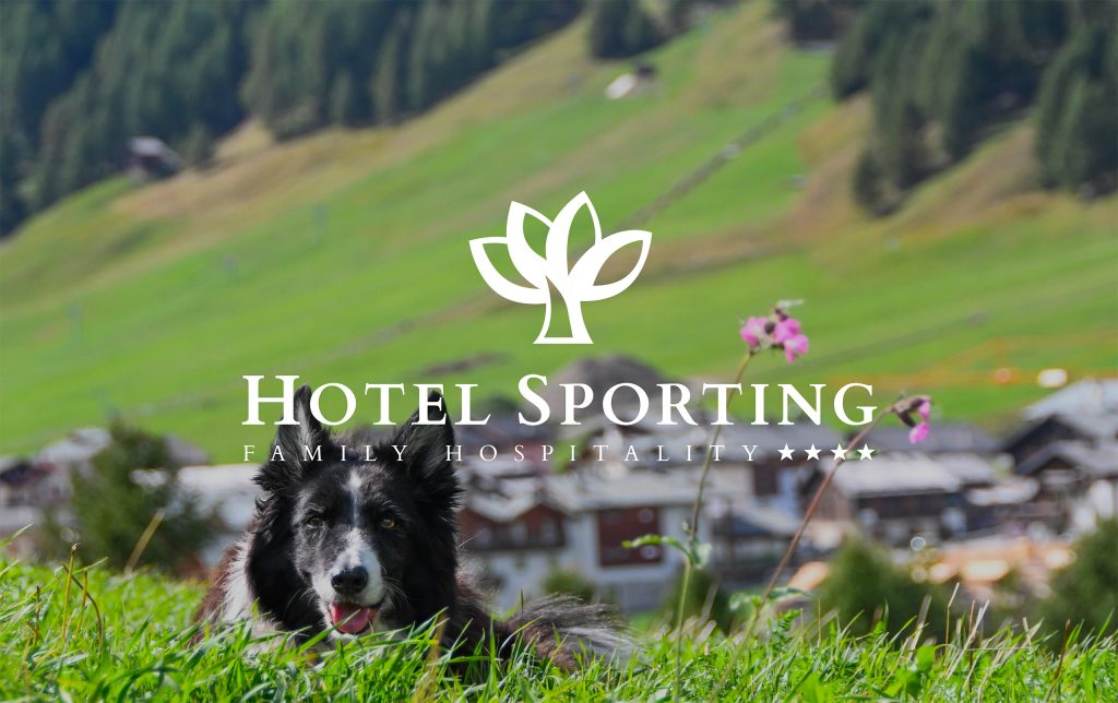 Hotel Sporting Livigno - hotel - DROPSHOT